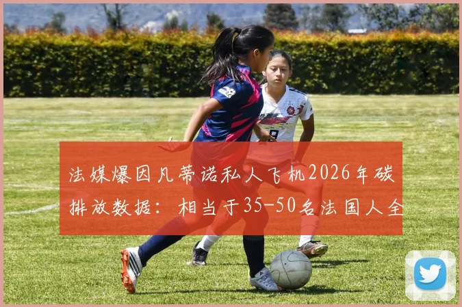 法媒爆因凡蒂诺私人飞机2026年碳排放数据：相当于35-50名法国人全年总量引争议