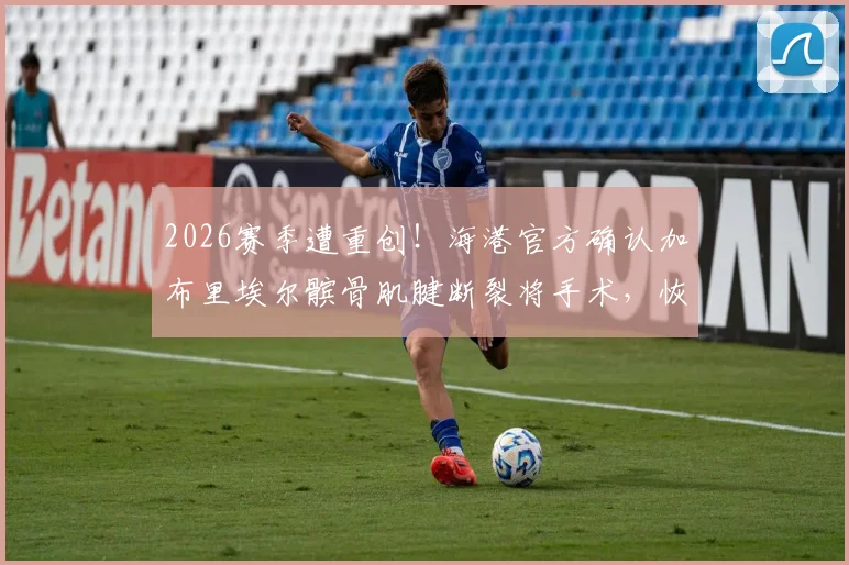 2026赛季遭重创！海港官方确认加布里埃尔髌骨肌腱断裂将手术，恢复期与影响深度分析