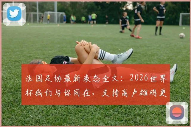 法国足协最新表态全文:2026世界杯我们与你同在,支持高卢雄鸡更强归来